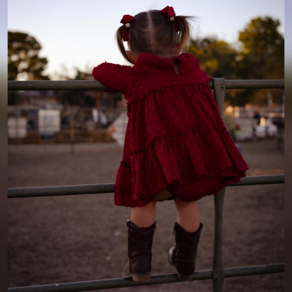Pippa & Julie Clip Dot  Burgundy Dress, 18 months - Picture 5 of 5